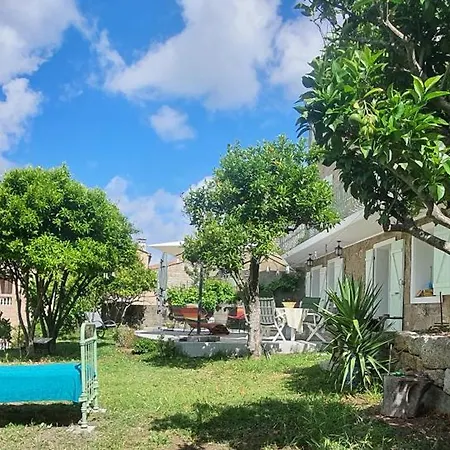 Apartamento En Rez De Jardin